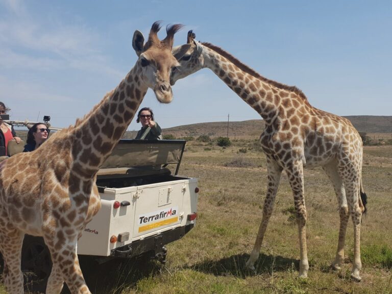 Big 5 Wildlife Course