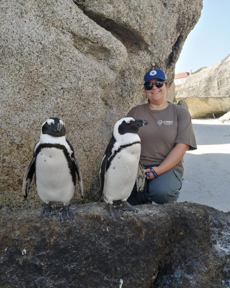 Hop on Hop off Travel Penguin and Seabird Program